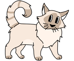 Visite & Garde de chat