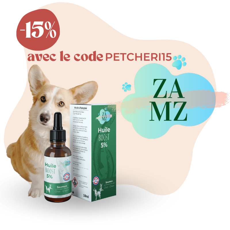ZamZ