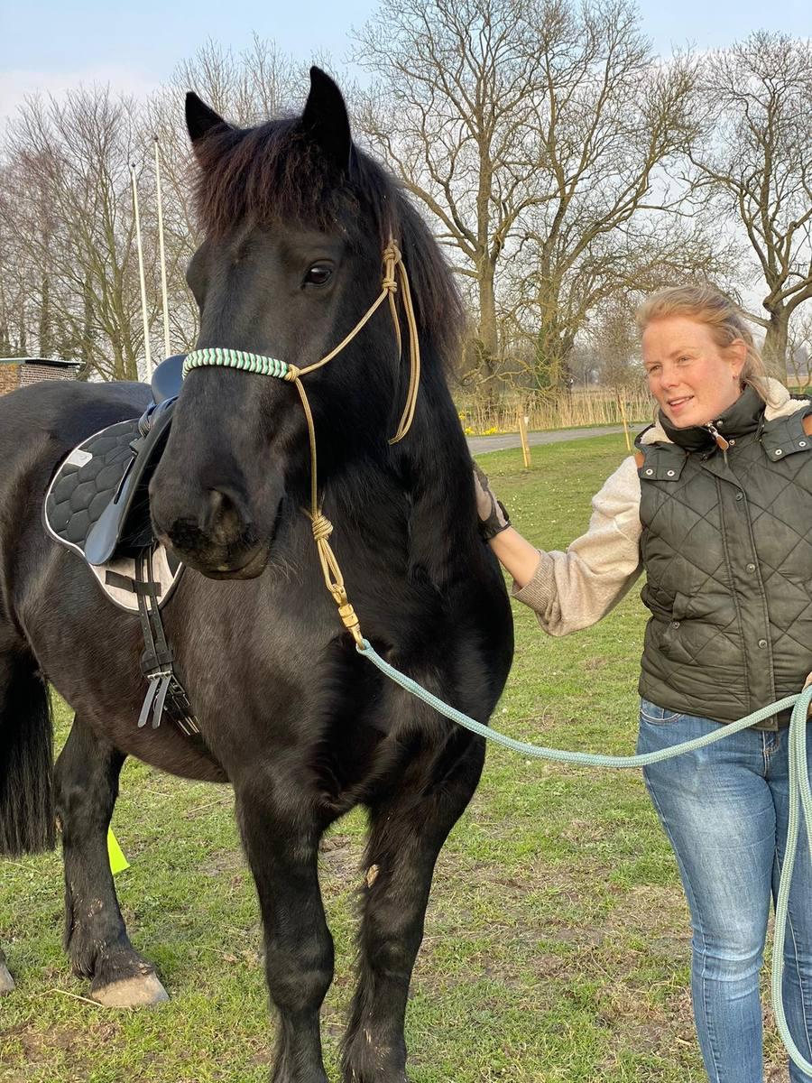 Cheval et cavalière, lien de confiance