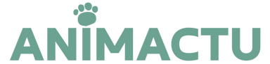 AnimActu