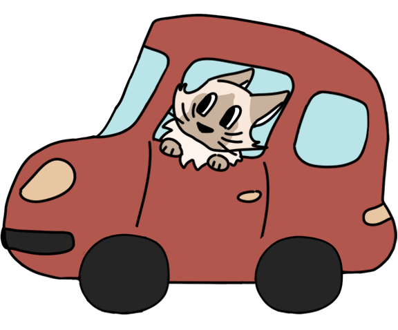 Transport