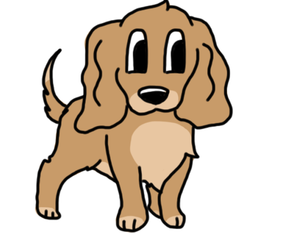 Services pour chiens
