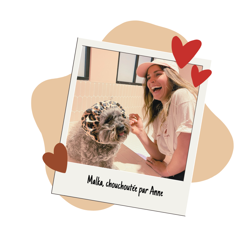 Pet carer with a companion animal